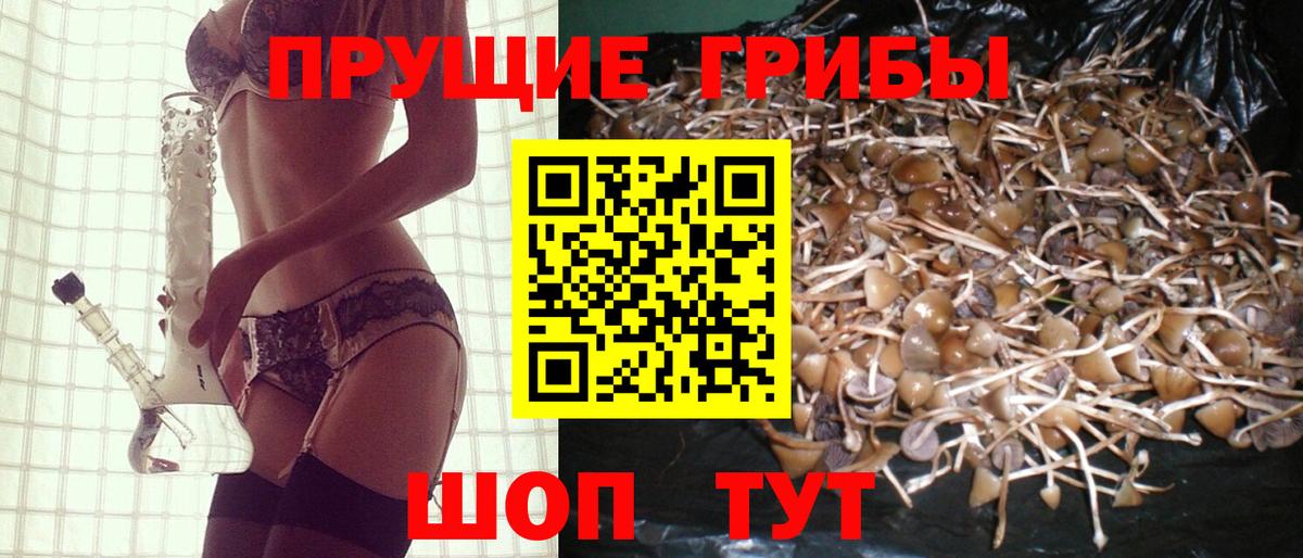 Галлюциногенные грибы Cubensis  Вход с VPN  Лабинск  Псилоцибиновые грибы Psilocybe 